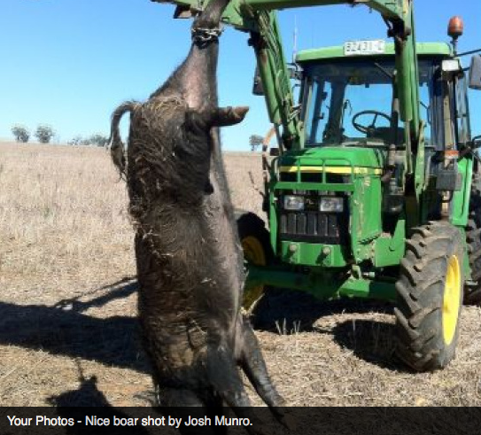 Screen Shot 2013-10-02 at 1.38.18 PM